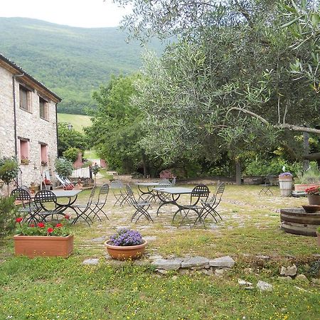 Il Giardino Degli Ulivi Villa Castelraimondo Buitenkant foto
