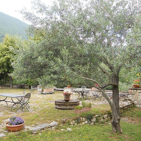 Il Giardino Degli Ulivi Villa Castelraimondo Buitenkant foto